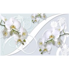 Картина на холсте по фото Модульные картины Печать портретов на холсте Белые орхидеи - 3D фотообои