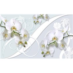 Белые орхидеи - 3D фотообои - Модульная картины, Репродукции, Декоративные панно, Декор стен