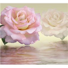 Картина на холсте по фото Модульные картины Печать портретов на холсте Розы над водой - 3D фотообои