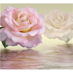 Розы над водой - 3D фотообои - Модульная картины, Репродукции, Декоративные панно, Декор стен