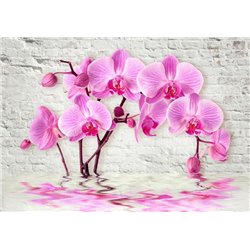Сиреневые орхидеи - 3D фотообои - Модульная картины, Репродукции, Декоративные панно, Декор стен