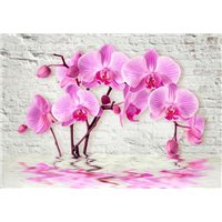 Портреты картины репродукции на заказ - Сиреневые орхидеи - 3D фотообои