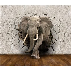 Слон - 3D фотообои - Модульная картины, Репродукции, Декоративные панно, Декор стен