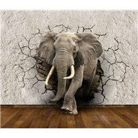 Портреты картины репродукции на заказ - Слон - 3D фотообои