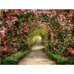 Садовая арка для роз (68 фото)