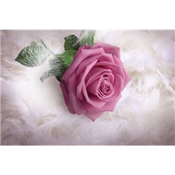 Роза на перьях - Фотообои цветы - Модульная картины, Репродукции, Декоративные панно, Декор стен
