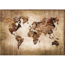 Карта на коре - Фотообои карта мира - Модульная картины, Репродукции, Декоративные панно, Декор стен