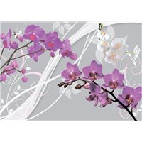 Буйство орхидей - Фотообои цветы