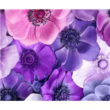 Картина на холсте по фото Модульные картины Печать портретов на холсте Сиренево-фиолетовые цветы - Фотообои цветы