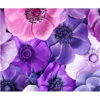 Портреты картины репродукции на заказ - Сиренево-фиолетовые цветы - Фотообои цветы