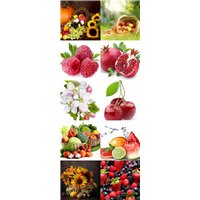 Ягоды и фрукты - Фотообои Еда и напитки