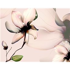 Картина на холсте по фото Модульные картины Печать портретов на холсте Нежные цветы - Фотообои цветы