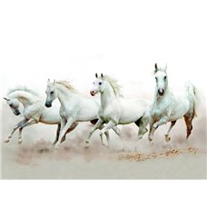 Картина на холсте по фото Модульные картины Печать портретов на холсте Табун белых лошадей - Фотообои Животные|лошади