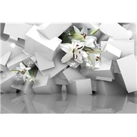 Белые кубы с цветами - 3D фотообои|3Д обои для зала