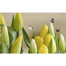 Картина на холсте по фото Модульные картины Печать портретов на холсте Бабочки над жёлтыми цветами - Фотообои цветы|тюльпаны