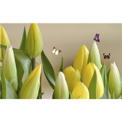 Бабочки над жёлтыми цветами - Фотообои цветы|тюльпаны - Модульная картины, Репродукции, Декоративные панно, Декор стен