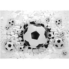 Картина на холсте по фото Модульные картины Печать портретов на холсте Футбольные мячи - 3D фотообои|3Д обои для зала