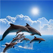 Картина на холсте по фото Модульные картины Печать портретов на холсте Семейство дельфинов - Фотообои Животные