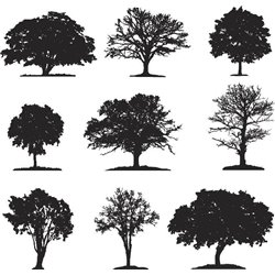 Чёрные деревья - Фотообои природа - Модульная картины, Репродукции, Декоративные панно, Декор стен