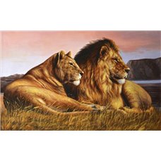 Картина на холсте по фото Модульные картины Печать портретов на холсте Пара львов - Фотообои Животные