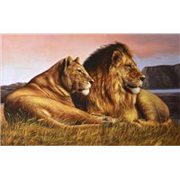 Пара львов - Фотообои Животные