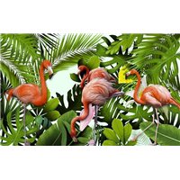 Яркие фламинго - Фотообои Животные