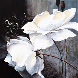 Белый мак - Фотообои цветы - Модульная картины, Репродукции, Декоративные панно, Декор стен