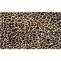 Леопард - Фотообои Фоны и текстуры