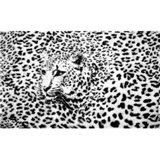 Картина на холсте по фото Модульные картины Печать портретов на холсте Леопард - Фотообои Животные