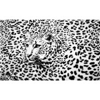 Портреты картины репродукции на заказ - Леопард - Фотообои Животные