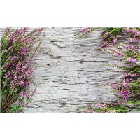 Лаванда - Фотообои цветы|лаванды