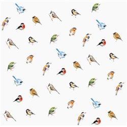 Птицы - Дизайнерские|Радионова - Модульная картины, Репродукции, Декоративные панно, Декор стен