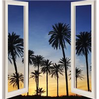 Пальмы на фоне заката - Вид из окна