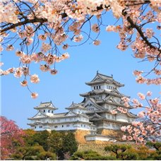 Картина на холсте по фото Модульные картины Печать портретов на холсте Японский дворец и сакура - Фотообои архитектура|Восток