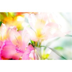 Солнце в саду - Фотообои цветы - Модульная картины, Репродукции, Декоративные панно, Декор стен
