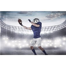 Картина на холсте по фото Модульные картины Печать портретов на холсте Американский футболист - Фотообои спорт