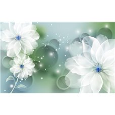 Картина на холсте по фото Модульные картины Печать портретов на холсте Белые цветы с кольцами - Фотообои цветы