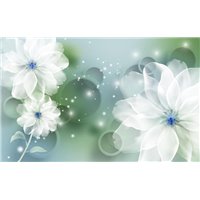 Белые цветы с кольцами - Фотообои цветы