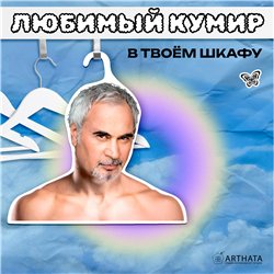 Подарок подруге Вешалка плечики Валерий Меладзе
