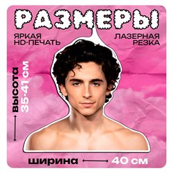 Подарок девушке Плечики для одежды Тимоти Шаламе