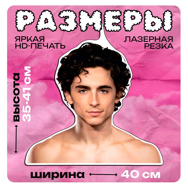 Подарок девушке Плечики для одежды Тимоти Шаламе
