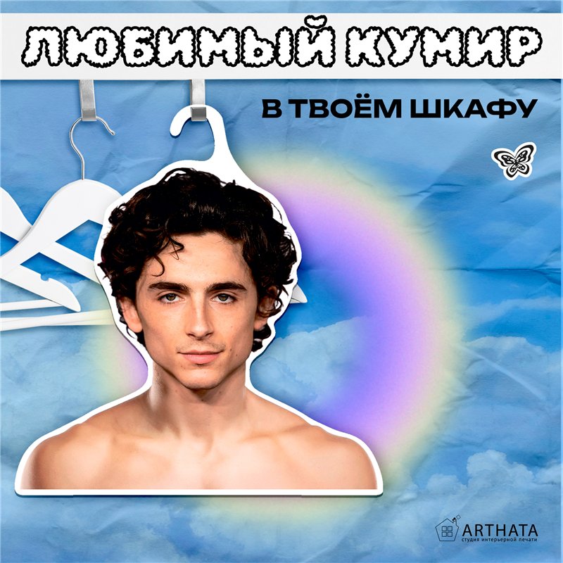 Подарок девушке Плечики для одежды Тимоти Шаламе