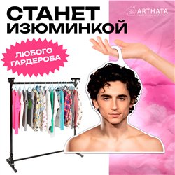 Подарок девушке Плечики для одежды Тимоти Шаламе