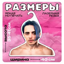 Подарок на др подруге Вешалка со знаменитостями Пошлая-Молли