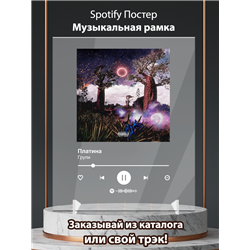 Платина - Групи - постер Spotify - Модульная картины, Репродукции, Декоративные панно, Декор стен