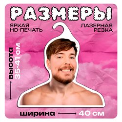 Подарок подруге Вешалка с лицом блогера Мистер-бист