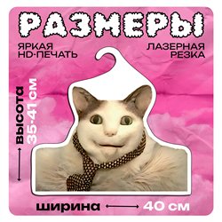 Шок Подарок "Бу! Испугался?" Вешалка с Котом из мема