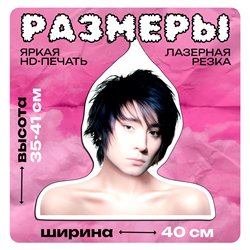 Необычный Подарок фанатке Вешалка с лицами звезд Земфира