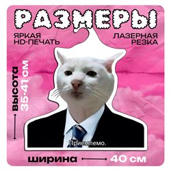 Подарок мужчине Вешалка с головой Мем Кота "Приемлемо"