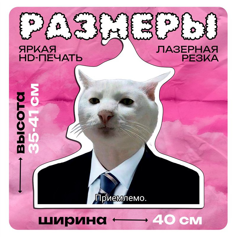 Подарок мужчине Вешалка с головой Мем Кота "Приемлемо"